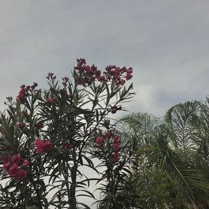 Meet your Posher, Regina